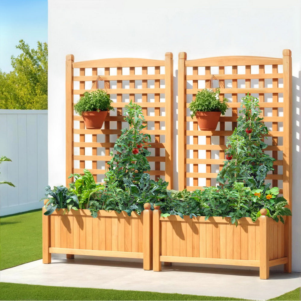 2 X Raised Garden Bed Wooden 64x35x115cm