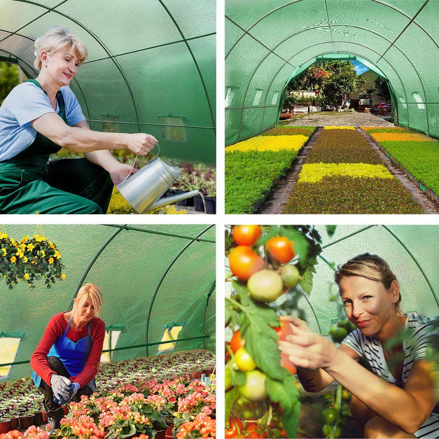 Walk In Greenhouse 6x3x2M