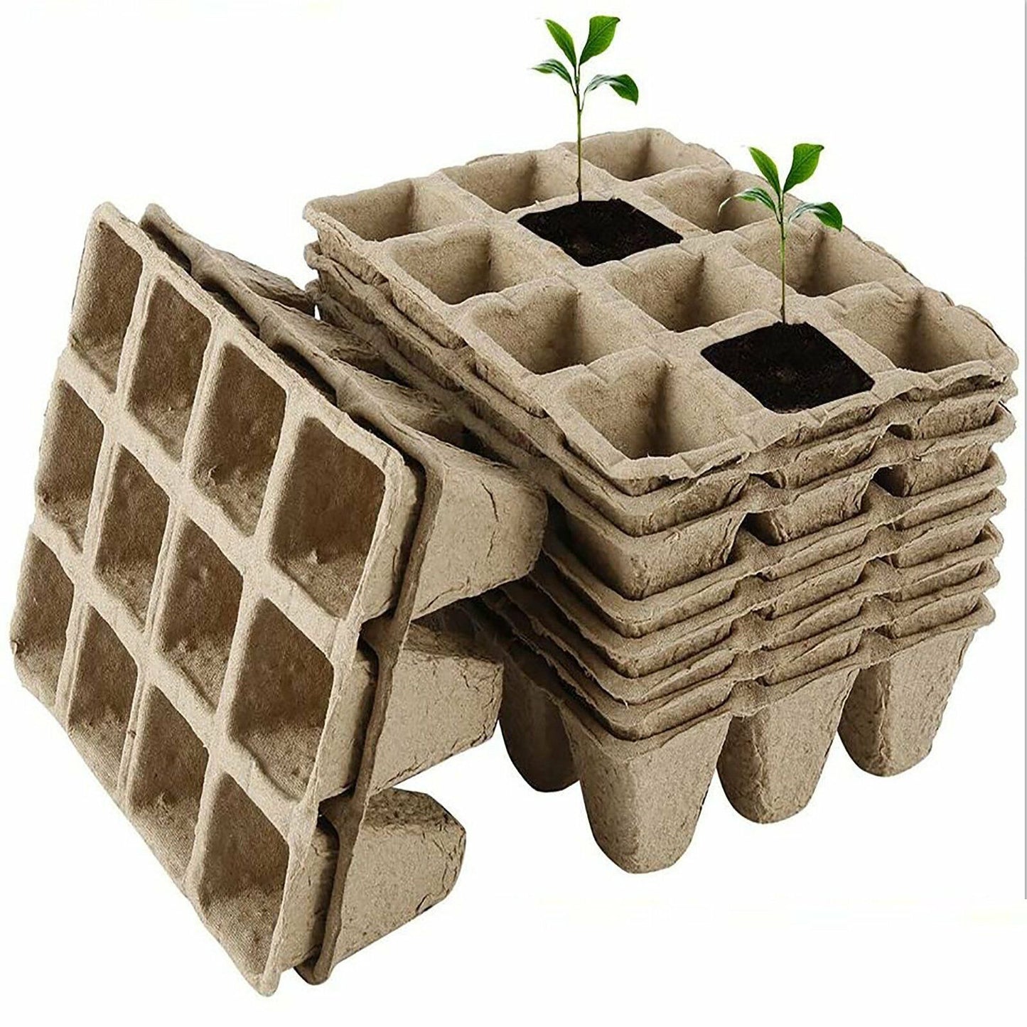 Biodegradable Seedling Trays 12-Hole (10pk)