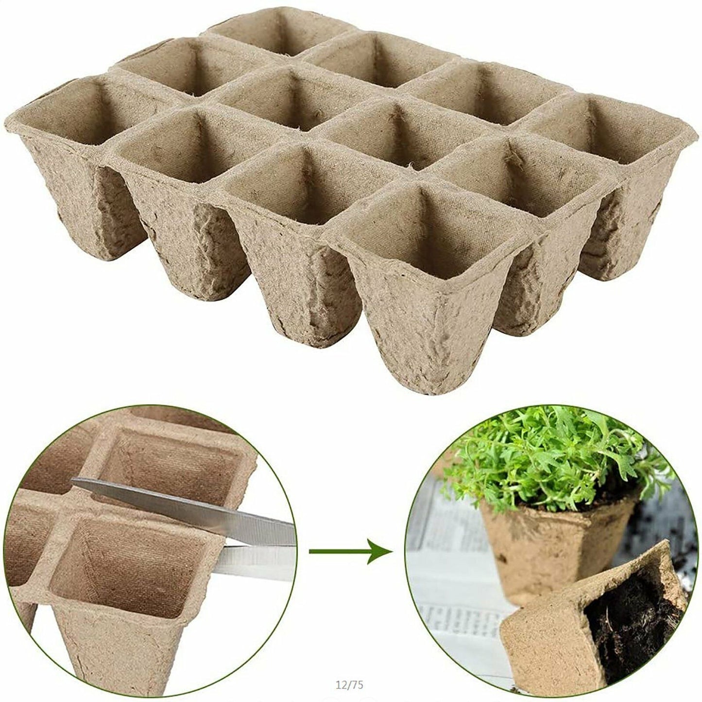 Biodegradable Seedling Trays 12-Hole (10pk)