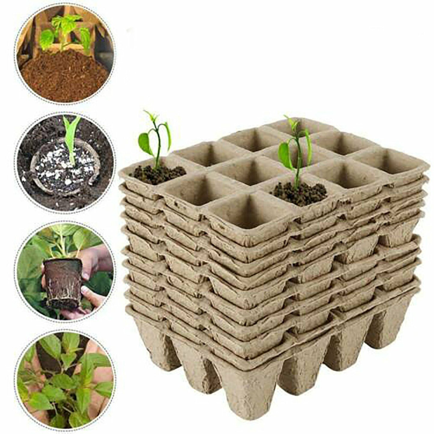 Biodegradable Seedling Trays 12-Hole (10pk)