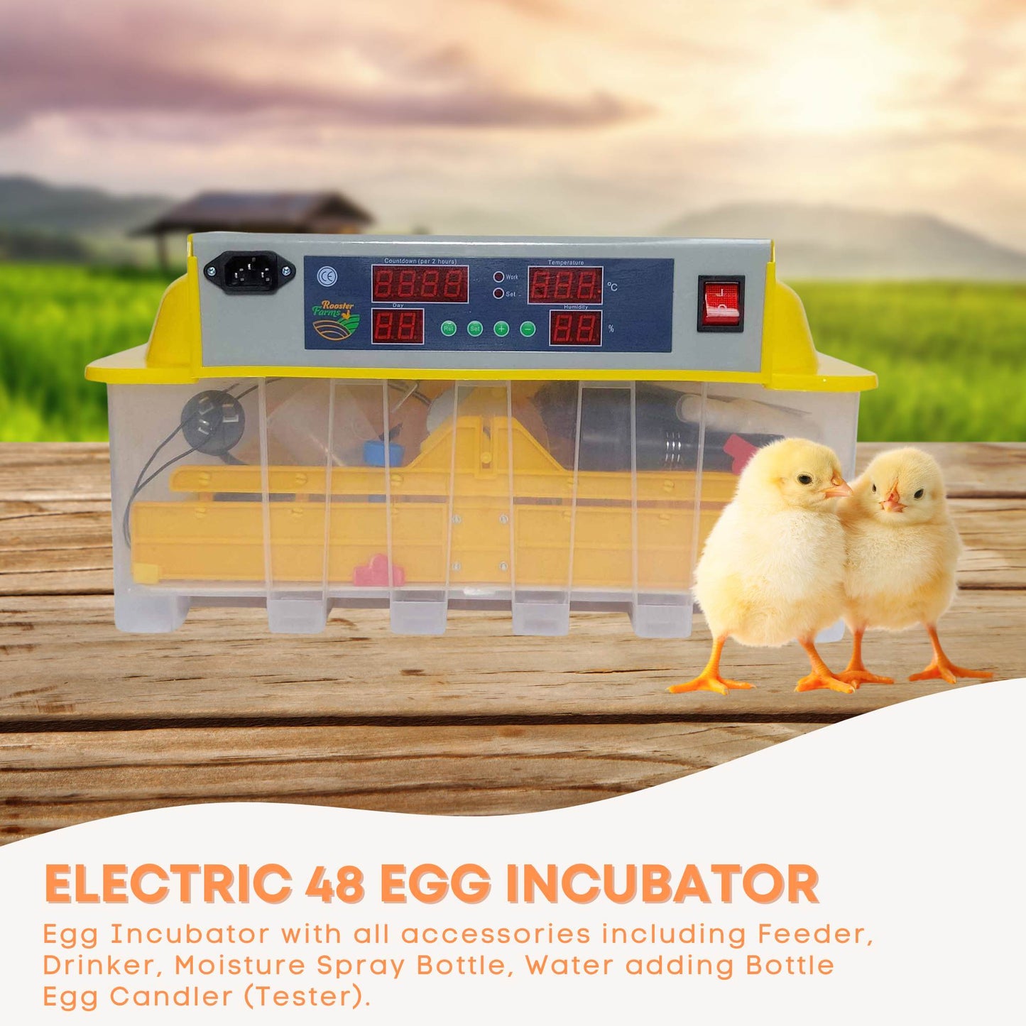 Electric 48 Egg Incubator + Accessories