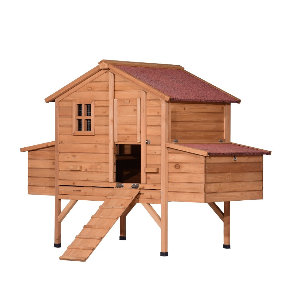 Homestead Deluxe Chicken Coop