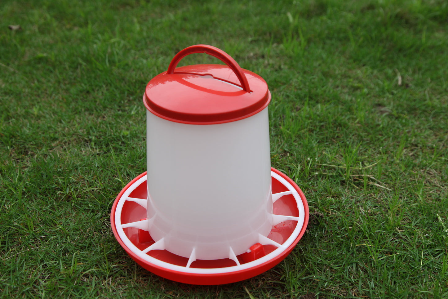 Chicken Water & Feeder Set