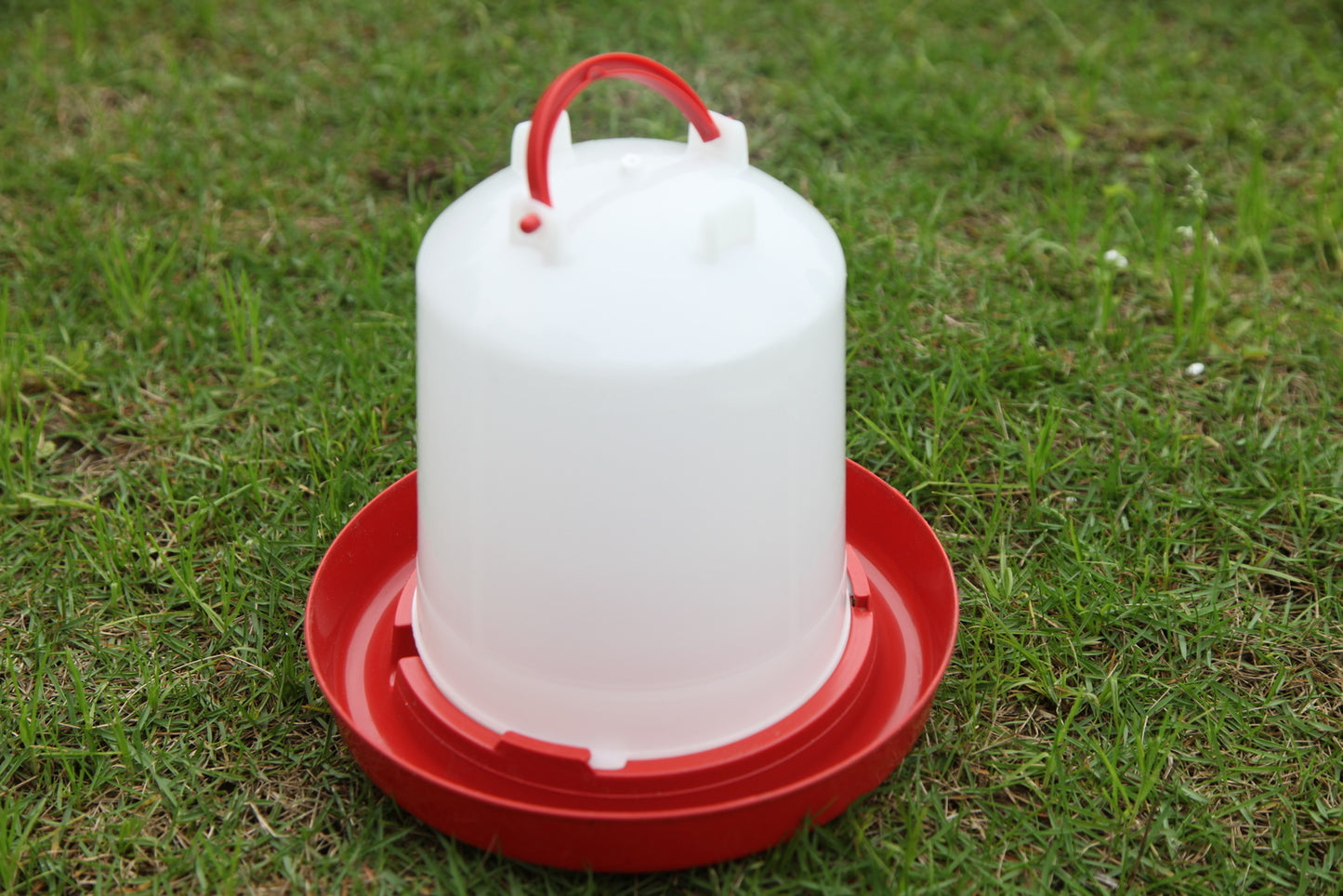 Chicken Water & Feeder Set