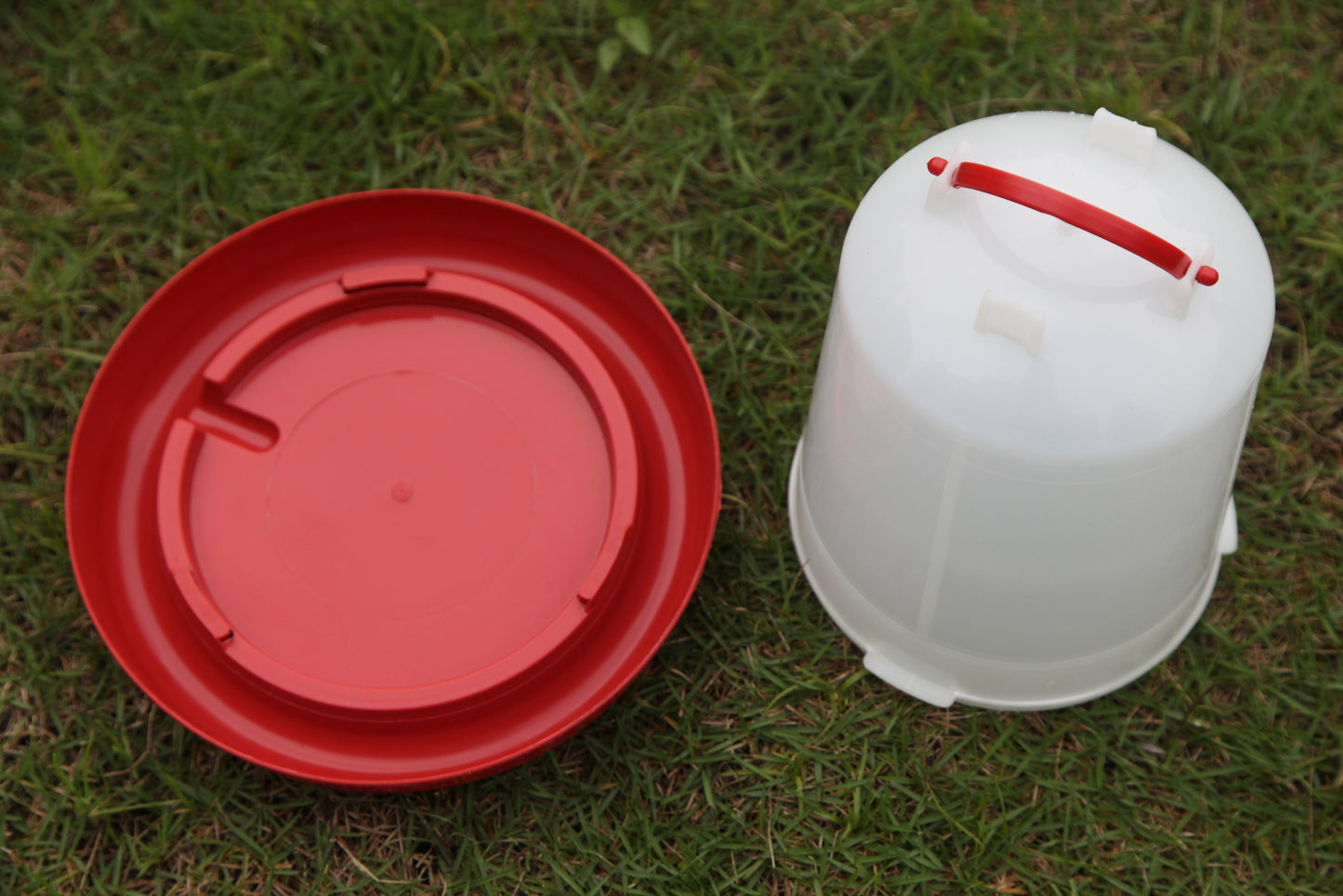Chicken Water & Feeder Set