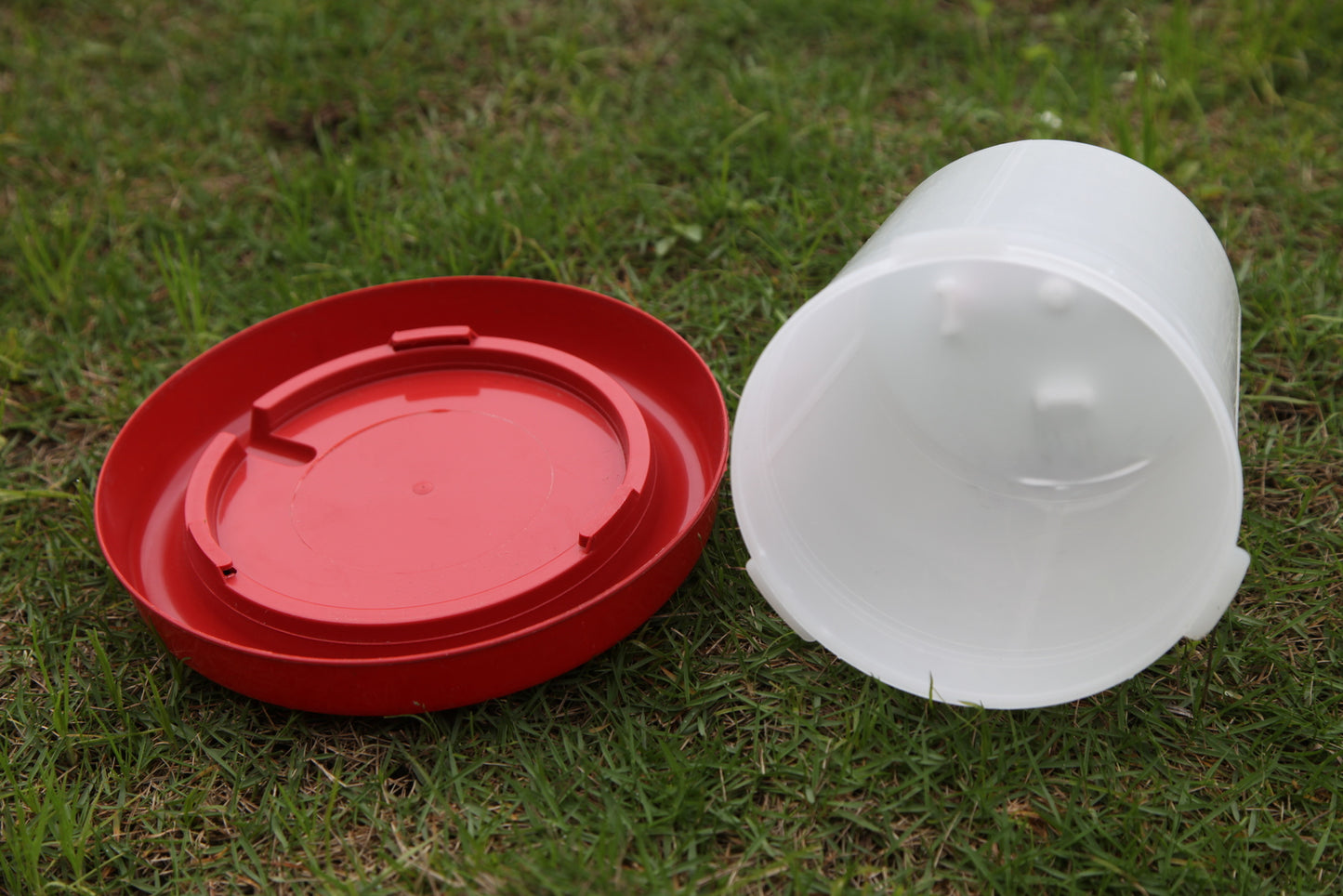 Chicken Water & Feeder Set